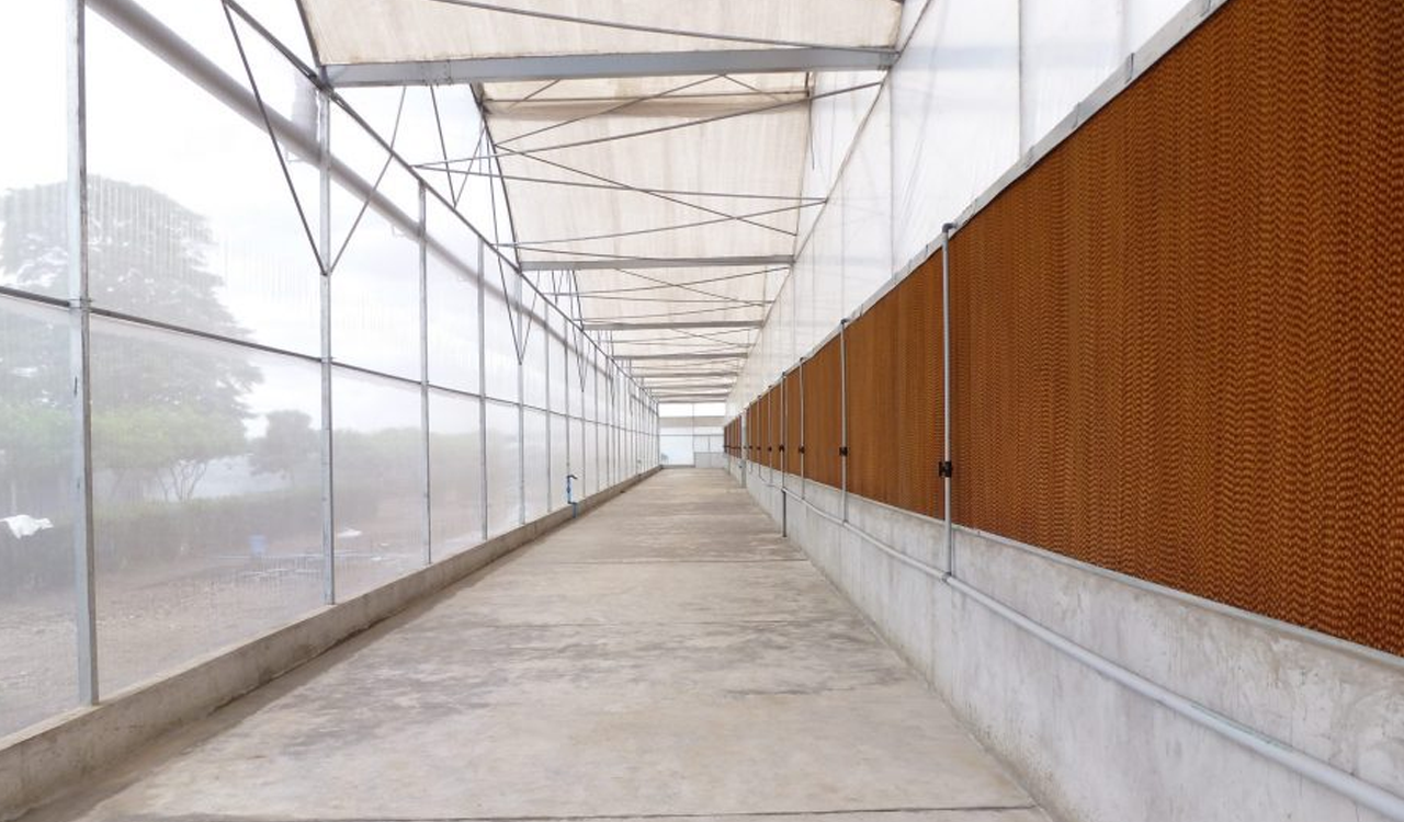 Fan-Pad Cooling System